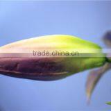 Home Garden Creepers Decoration 110cm Height Artificial Yellow 2 Flowers 2 Bud Lily Making EBHH04 2212 thumbnail-3