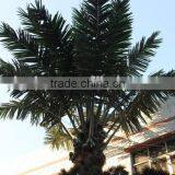 Cheap Artificial Palm Tree Artificial Coconut Palm Outdoor Coconut With Fruit thumbnail-2
