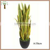 Potted Fake Variegated Sansevieria Plant thumbnail-1