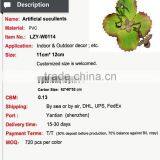 Succulent Plants Potted Succulent Artificial Bonsai Plant Succulent thumbnail-4