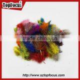 Cheap Dyed Guinea Fowl Wholesale Artificial Feathers for Carnival Costumes thumbnail-2