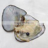 2017 New Fashion Jewelry Freshwater Cultured Pearl Oyster Potato Mixed Colors thumbnail-4
