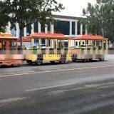 Kids Amusement Park Track Train for Sale Road Train thumbnail-1