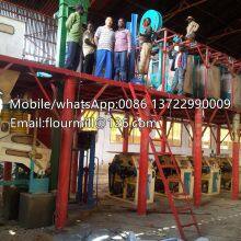 Automatic Conservation Energy 50T Maize Wheat Flour Milling Machine Corn Processing Line Grain Product Making Machine thumbnail-5