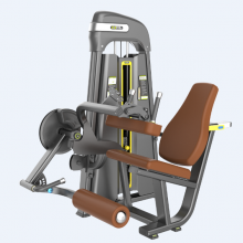 CM-906 Seated Leg Curl fitness equipment exercise