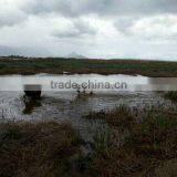 Outdoor Wild Bird Hunting Dog Beeper Collar thumbnail-2