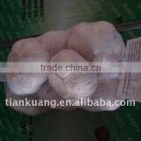 Chinese Normal Garlic thumbnail-1