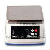 Electronic Waterproof Indicator Scale thumbnail-1