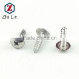Stainless steel 304 largewafer self tapping screw
