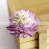 Wholesale Artificial Succulent Plants Mini Succulent Plants Succulent Plants Tropical Plants thumbnail-4