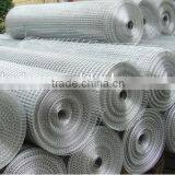 New Product Galvanized Welded Wire Mesh/ Welded Wire Mesh Fence for Sale thumbnail-3