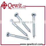 Various Sizes DIN571 Hex Head Coachscrew Cr3 Zinc Plated Small Box Packing or Bulk Packing