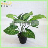 Artificial Bonsai Tree