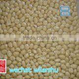 New Crop Blanched Peanut Kernels, Round Shape, Carton Packing Top Quality thumbnail-1