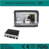 Handheld Veterinary Ultrasound Scanner Vet With Convex Probe V8 for Animal thumbnail-1