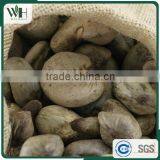 2016 Newest Cambodia Shell Attached Cashew Nut thumbnail-2