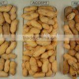 5000+pixel With Patented Ejector Groundnut Color Sorter With Hign Speed DSP Technology ,groundnut Grading Machine thumbnail-6