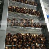 Price for Frozen Shiitake Mushroom Whole thumbnail-3