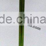 Enamel Dish New Metal Design