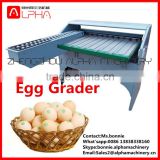 Good price eggs grader sorting 5000-6500eggs per hour