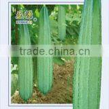 Good Commodity Hybrid Seeds F1 Seed Luffa Vegetable Seeds