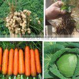 Organic Liquid Root Bio Fertilizer for Agriculture Plants thumbnail-1