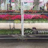 Flower Rolling Display Cart / Steel Rolling Trolley thumbnail-1