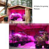AC85V~265V Full Spectrum 810W Greenhouse Led Grow Light Directly From Factory With Paypal Pay thumbnail-6