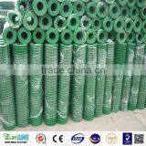 2017Stainless Steel & Galvanized Welded Wire Mesh (Direct Factory) thumbnail-2