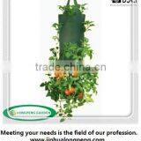Tomato Growing Bags Planters,2 x Hanging Upside Tomato Planters thumbnail-1