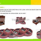 Green Wall Vertical Garden thumbnail-2