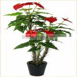 fake flower plant wholesale bonsai plants plastic anthuriums plants for sale