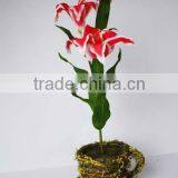 Artificial Lily With Glass Pot thumbnail-1