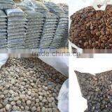 Chinese River Pebble,pebble Stone,Cobble for Garden Paver thumbnail-1
