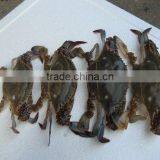 Quality Best Seafood Frozen Snow Crab thumbnail-1