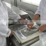 Cooked V-packed Baby Clam thumbnail-5