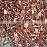 Large Head Nails thumbnail-1