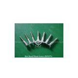 Wood Screw(Din571) thumbnail-1