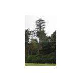 CONCEALMENT TOWERS thumbnail-3