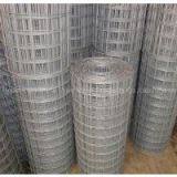Anping Supplier High Quality Galvanized Welded Wire Mesh thumbnail-3
