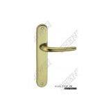 brass door handle on plate