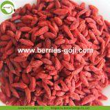 Factory For Sale Dried Conventional Goji Berry thumbnail-1