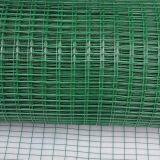 Green Color 1/2 Pvc Coated Welded Wire Mesh thumbnail-3