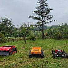 Remote Control Mower of Hills China Manufacturer Factory Supplier Wholesaler thumbnail-3