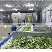 Frozen Vegetable Production Line Frozen Sweet Corn Strawberry Green Peas IQF Quick Freezing Machine thumbnail-5