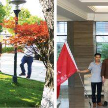 SUCCESS ENGINE factory-13