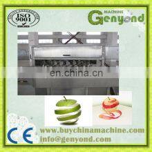 Dried Mango Processing Plant thumbnail-5