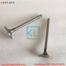 Engine Parts 1006 Valve 3142L081&3142D051 Fit for Perkins thumbnail-2