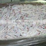 Processed Chicken Feet thumbnail-1