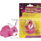 Blister Packaging,blister Card, Blister / TLP13120304